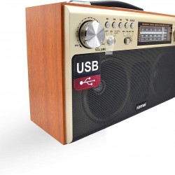 Portable Antique Radio with modern features AM/FM/SW Frequency. USB/SD/TF Card Slot, AUX, Bluetooth Remote