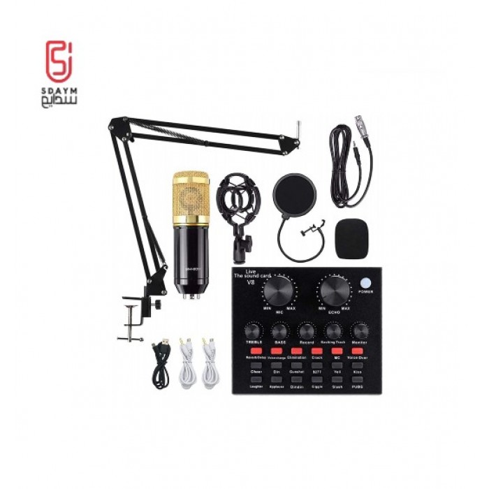 BM-800 Voice Recording Microphone Kit with 8 V8 Direct Sound Card, Condenser Microphone with 12 Kinds of V8 Sound Card Auxiliary Rechargeable Background