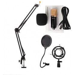 Bm700 Vocal Recording Studio Microphone Set Condenser Pop Filter Windscreen Foldable Stand Stand Singing Microphone