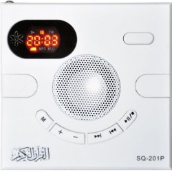 Bluetooth Radio Portable Speaker with White / Black / Gray Remote Control